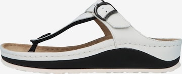BERKEMANN T-Bar Sandals 'Mila' in White: front
