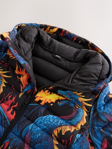Next Winterjas in Gemengde kleuren