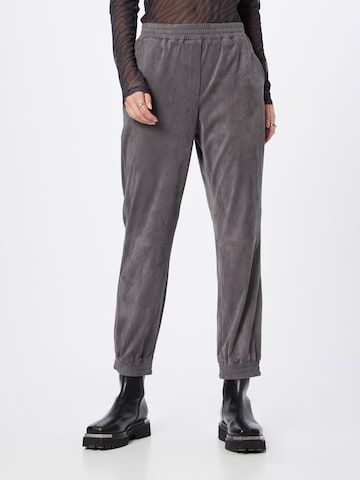 Someday Tapered Pants in Grey: front
