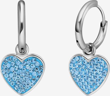 Boucles d'oreilles Lucardi en argent : devant