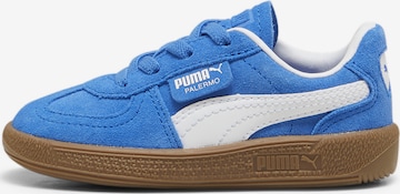 PUMA Sneakers 'Palermo ' in Blauw: voorkant