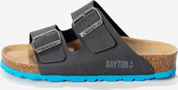 pilka Bayton Atviri batai 'Athena': priekis