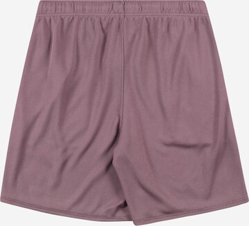Abercrombie & Fitch Regular Shorts in Lila