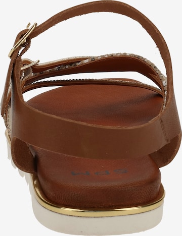 SPM Strap Sandals in Brown