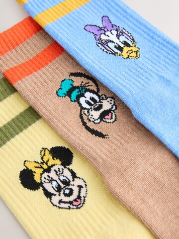 Next Socks in Mixed colours