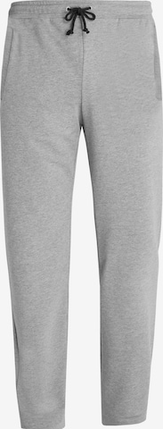 HAJO Pants in Grey: front