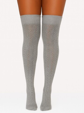 Lycille Overknee Strümpfe 'Lycille'‌‌‌‌ in Grau: Vorderseite