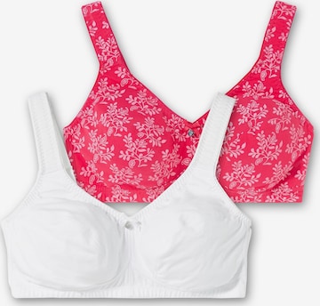 SHEEGO Bra in Pink: front