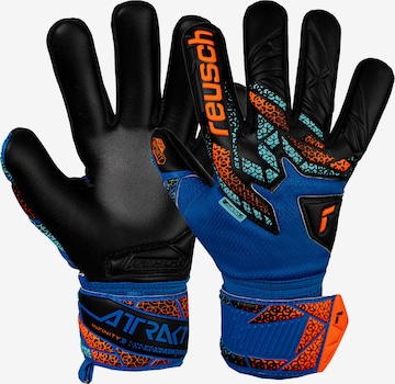 REUSCH Torwarthandschuhe 'Attrakt Infinity NC Junior' in Blau: Vorderseite