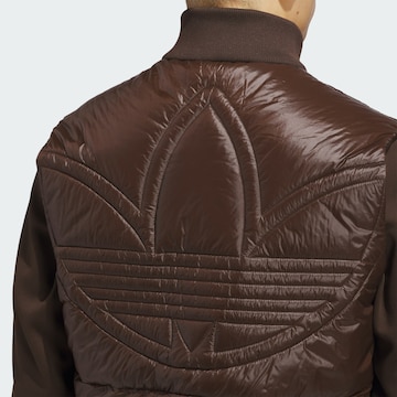 Veste outdoor ADIDAS PERFORMANCE en marron