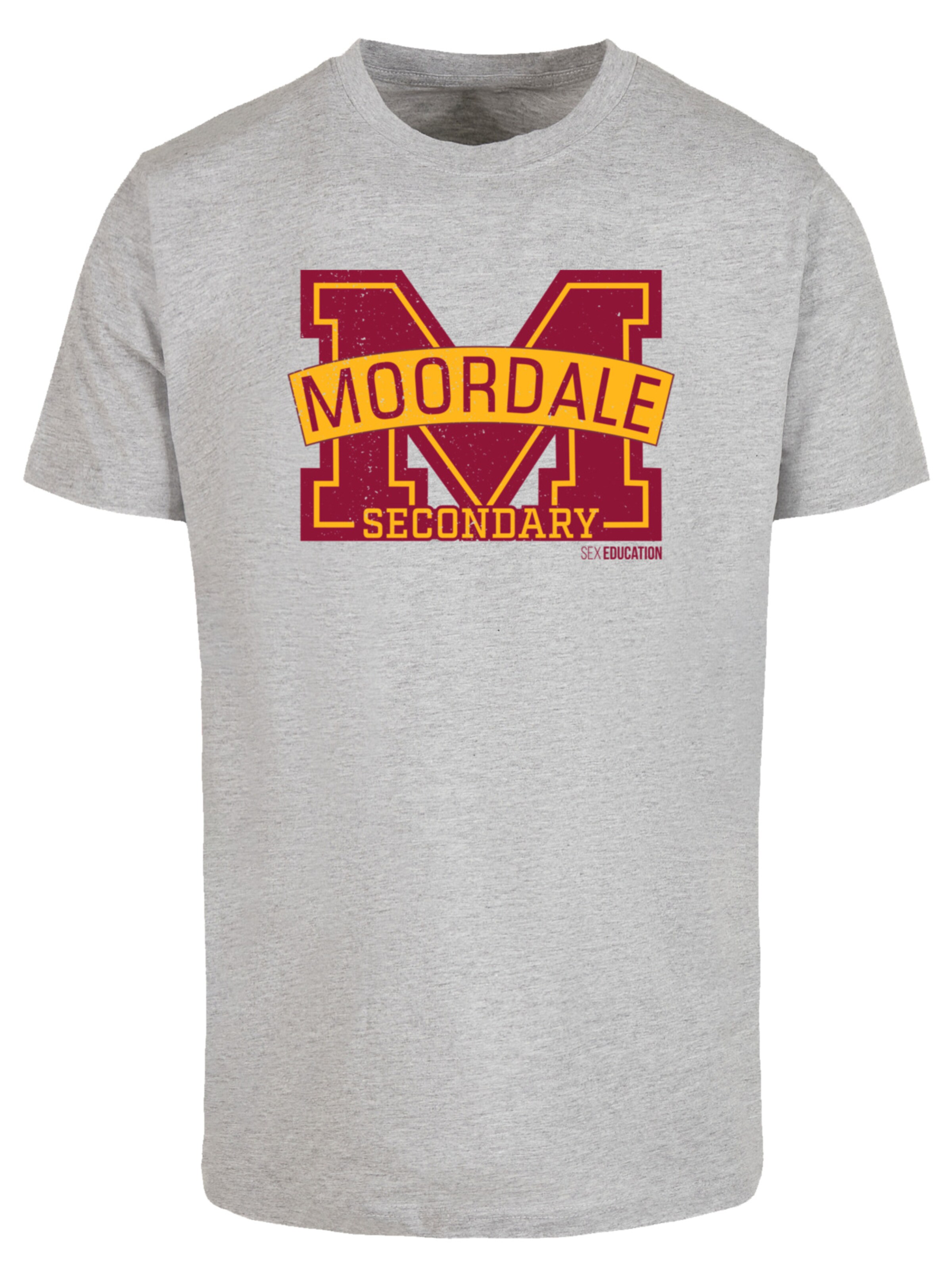 F4NT4STIC Shirt in Grijs: voorkant