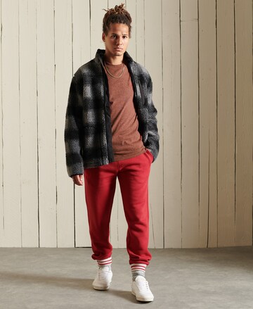 Superdry Shirt in Rood