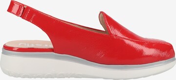 Wonders Classic Flats in Red