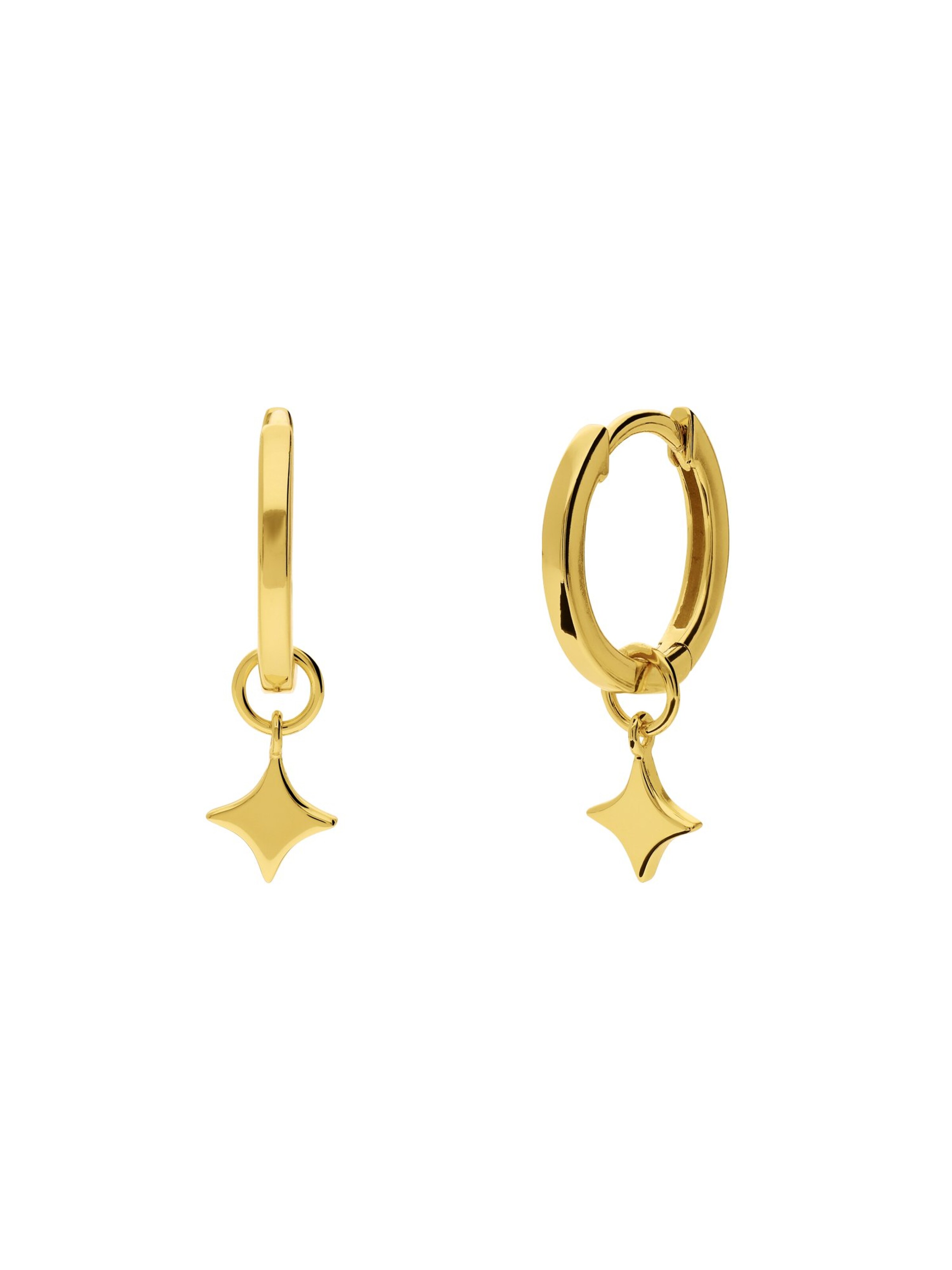 Lucardi Earrings 'Stern' in Gold: front