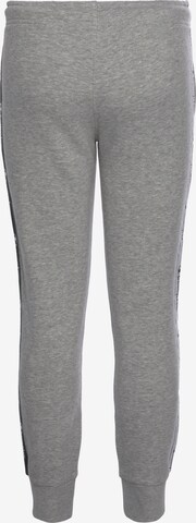 Tapered Pantaloni de la Champion Authentic Athletic Apparel pe gri