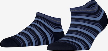 FALKE Füßlinge 'Smart Stripe' in Blau: Vorderseite