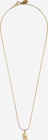 auksinė Fräulein Wunder Grandinėlė 'Elefant': priekis