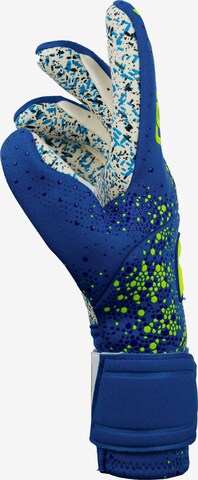 REUSCH Athletic Gloves 'Pure Contact Fusion' in Blue