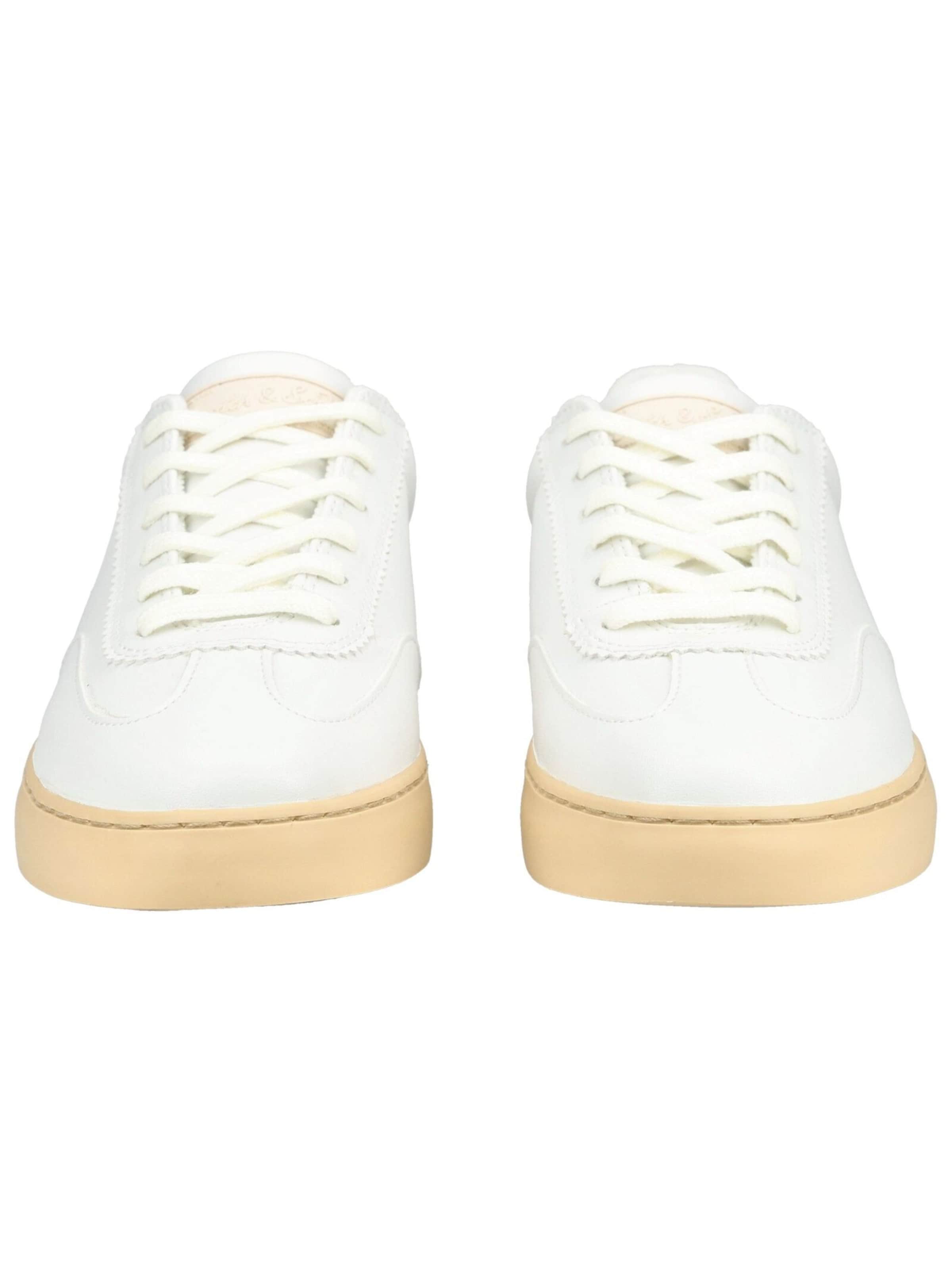 Baskets basses SCOTCH & SODA en blanc