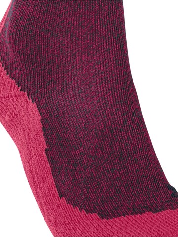 FALKE Athletic Socks 'TK1 Adventure Wool' in Red