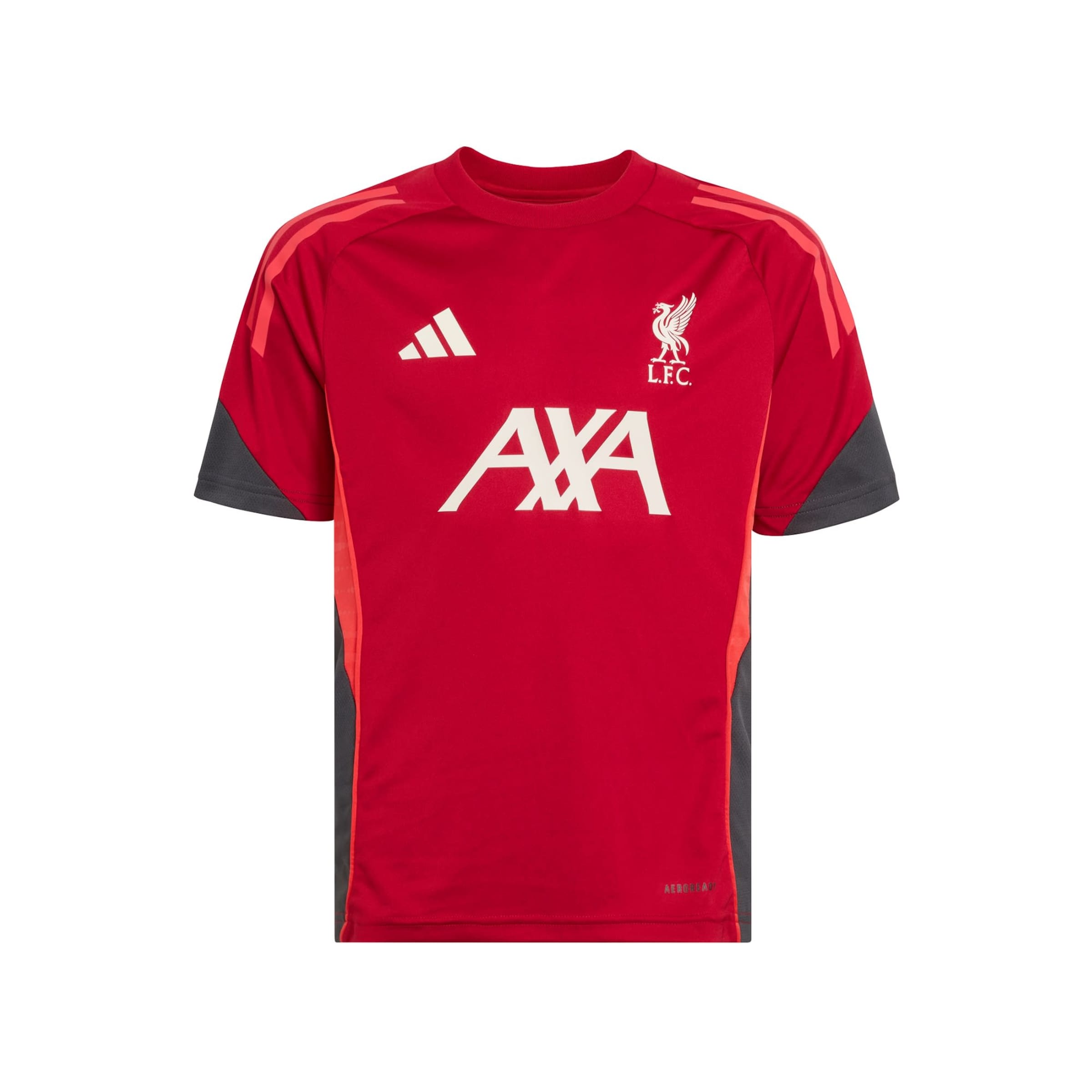 ADIDAS PERFORMANCE - Camiseta funcional 'FC Liverpool Tiro 25 Competition' en rojo: frente