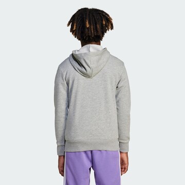 ADIDAS SPORTSWEAR Sweatshirt 'Essentials' in Grau