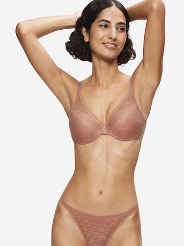 TRIUMPH Push-up Bra ' Red Label Triumph Signature Sheer ' in Beige: front