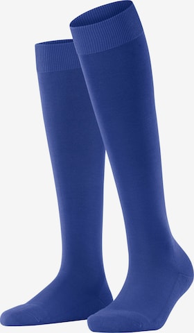 FALKE Knee High Socks 'ClimaWool' in Blue: front