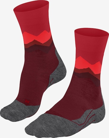 FALKE Sportsocken 'TK2 Explore' in Rot: Vorderseite