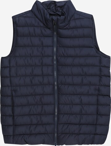 Gilet di s.Oliver in blu: frontale