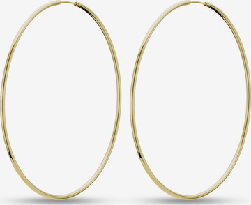 QOOQI Earrings in Gold: front