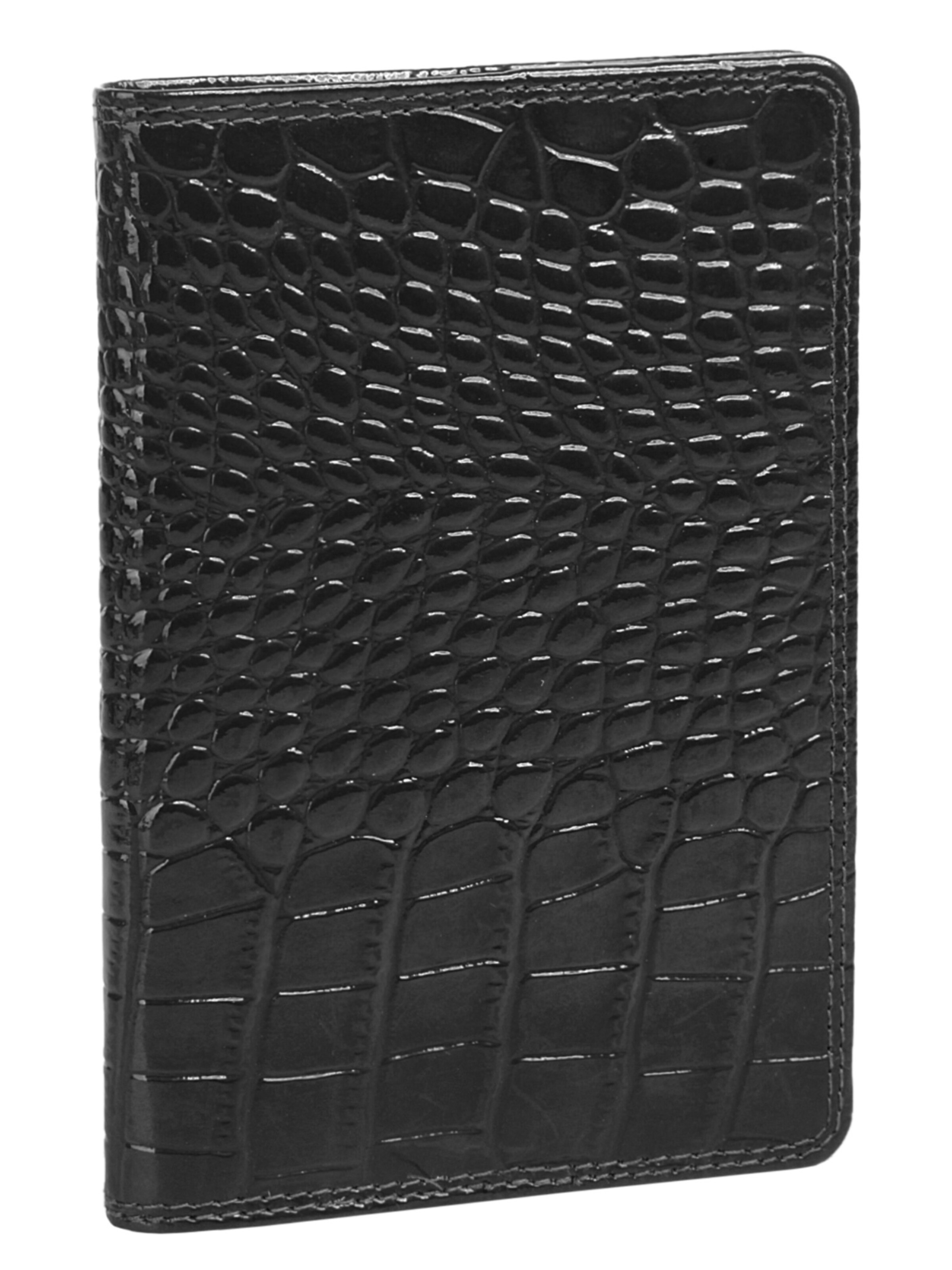 BODENSCHATZ Etui‌‌‌‌‌‌ in Schwarz