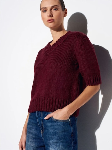 Pullover 'Pullover' di Dilvin in rosso