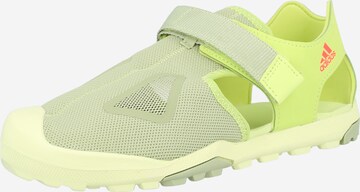 ADIDAS TERREX Sandalen 'CAPTAIN TOEY' in Groen: voorkant