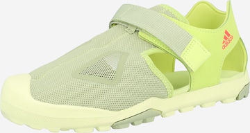 ADIDAS TERREX Sandal 'CAPTAIN TOEY' in Green: front