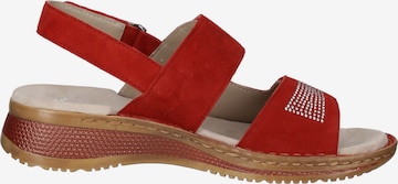 ARA Sandaal in Rood
