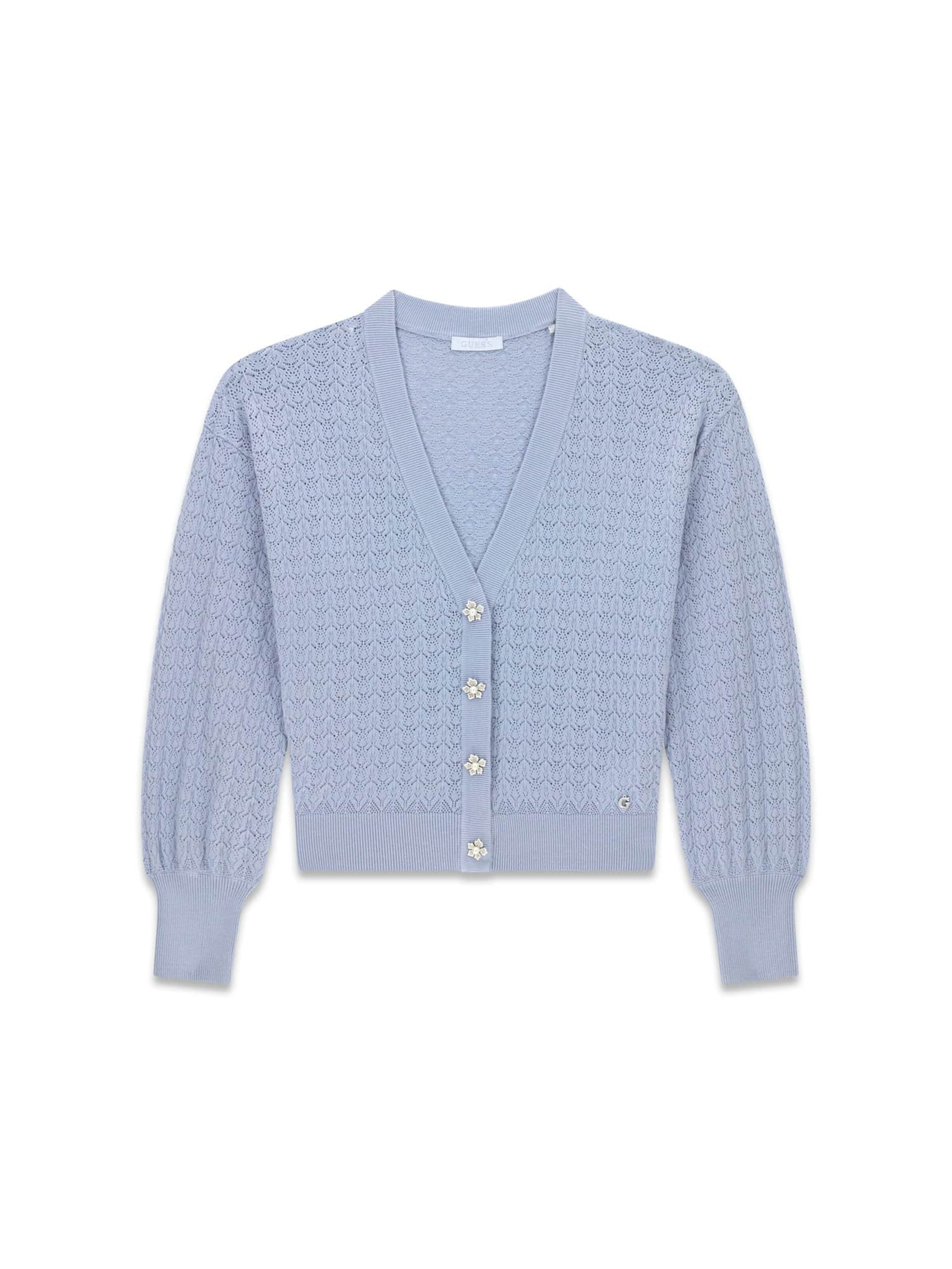 GUESS Strickjacke in Blau: Vorderseite