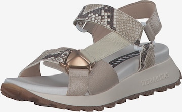 Sandales 'Maui HV253896' Hispanitas en gris : devant