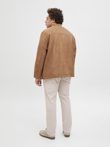 Jack & Jones Plus Slimfit Chino in Grijs