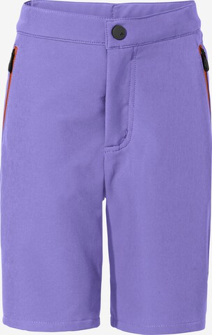 VAUDE Regular Outdoor Pants 'Badile' in Purple: front