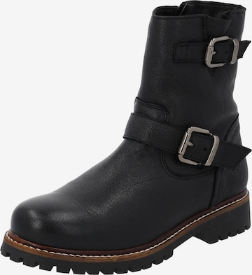 juoda Palado Auliniai 'Avidee': priekis