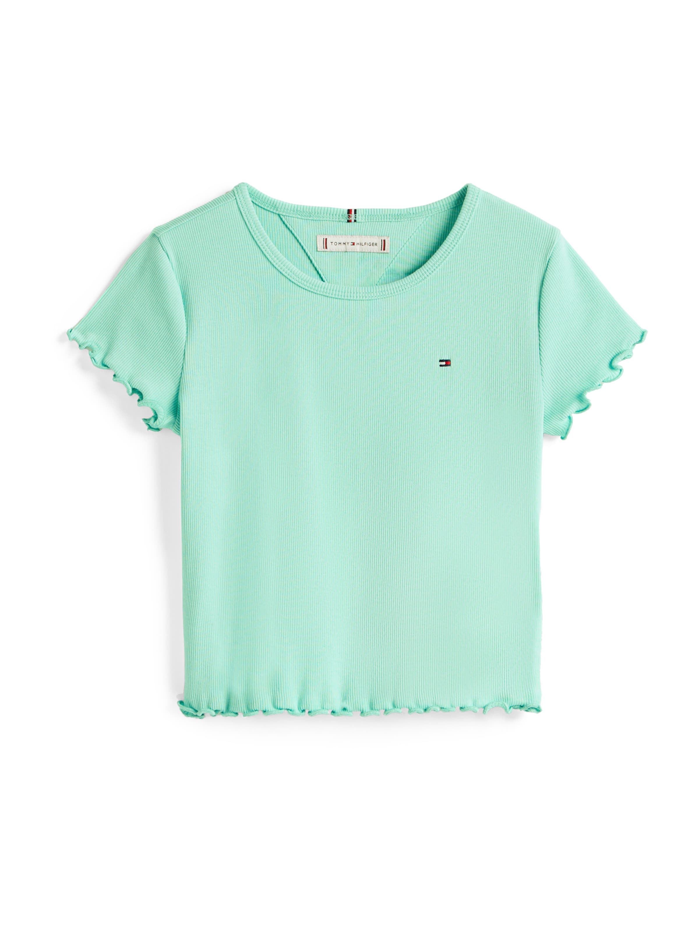 TOMMY HILFIGER - Camisola em verde: frente
