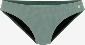 LASCANA Bikini Bottoms in Green: front