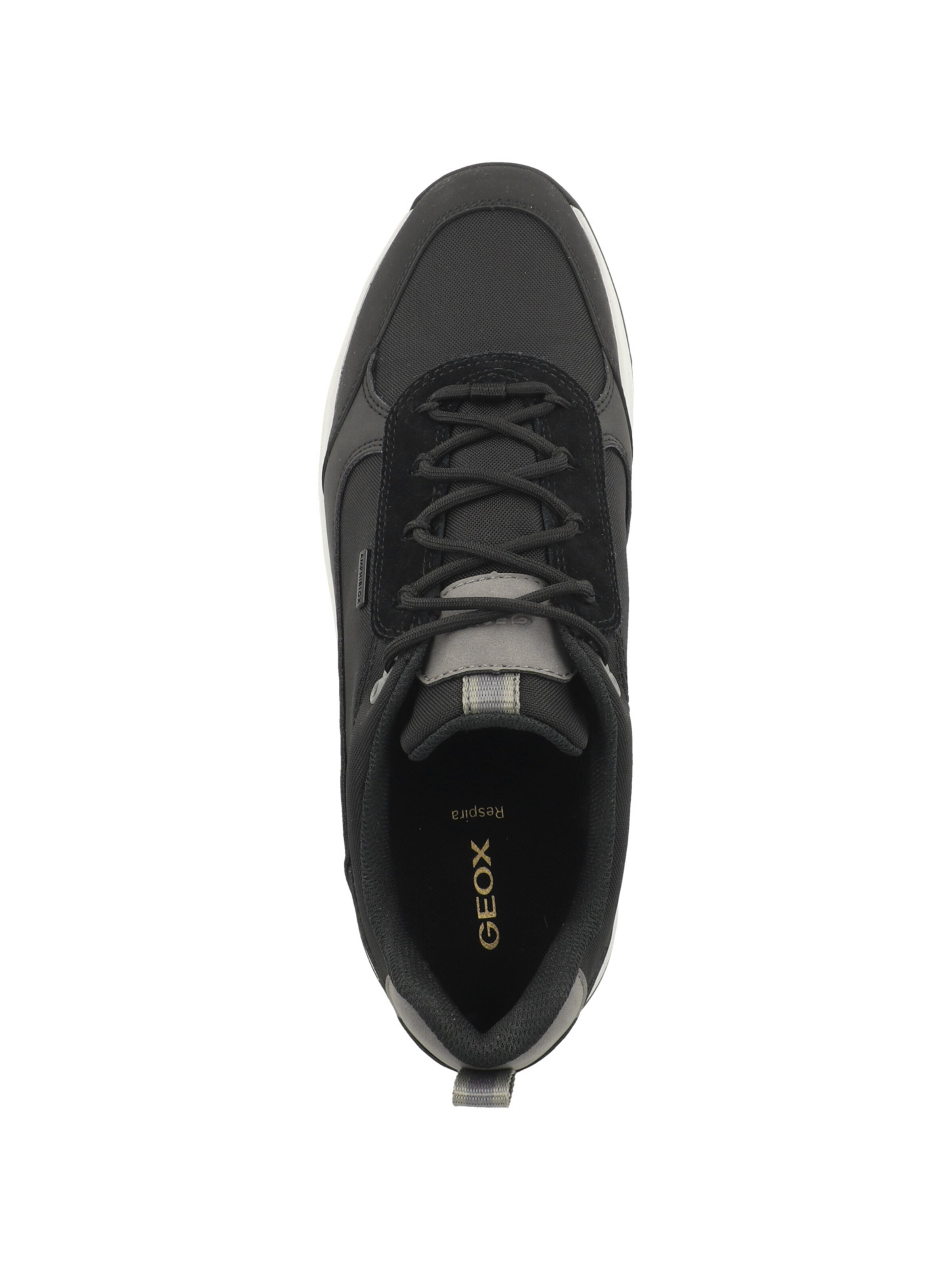 Baskets basses ' Terrestre B Abx A ' GEOX en noir