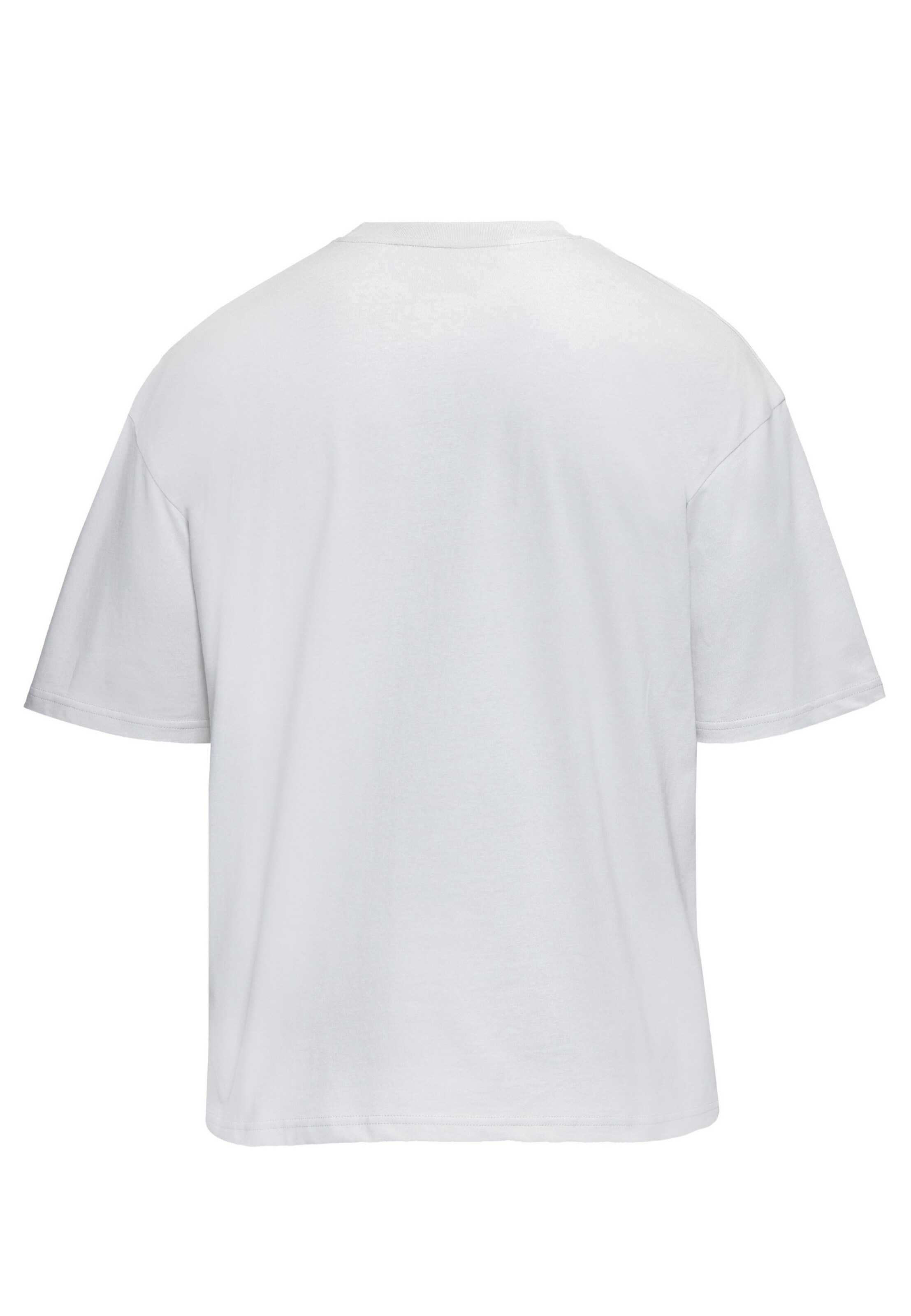 Dropsize - Camisa em cinzento