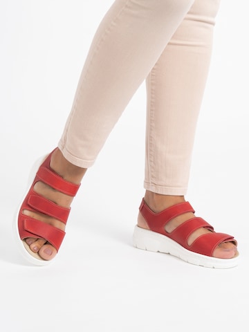 VITAFORM Sandalen in Rot