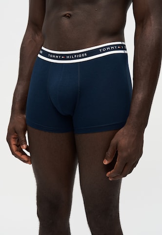 Tommy Hilfiger Underwear Bokserki w kolorze niebieski