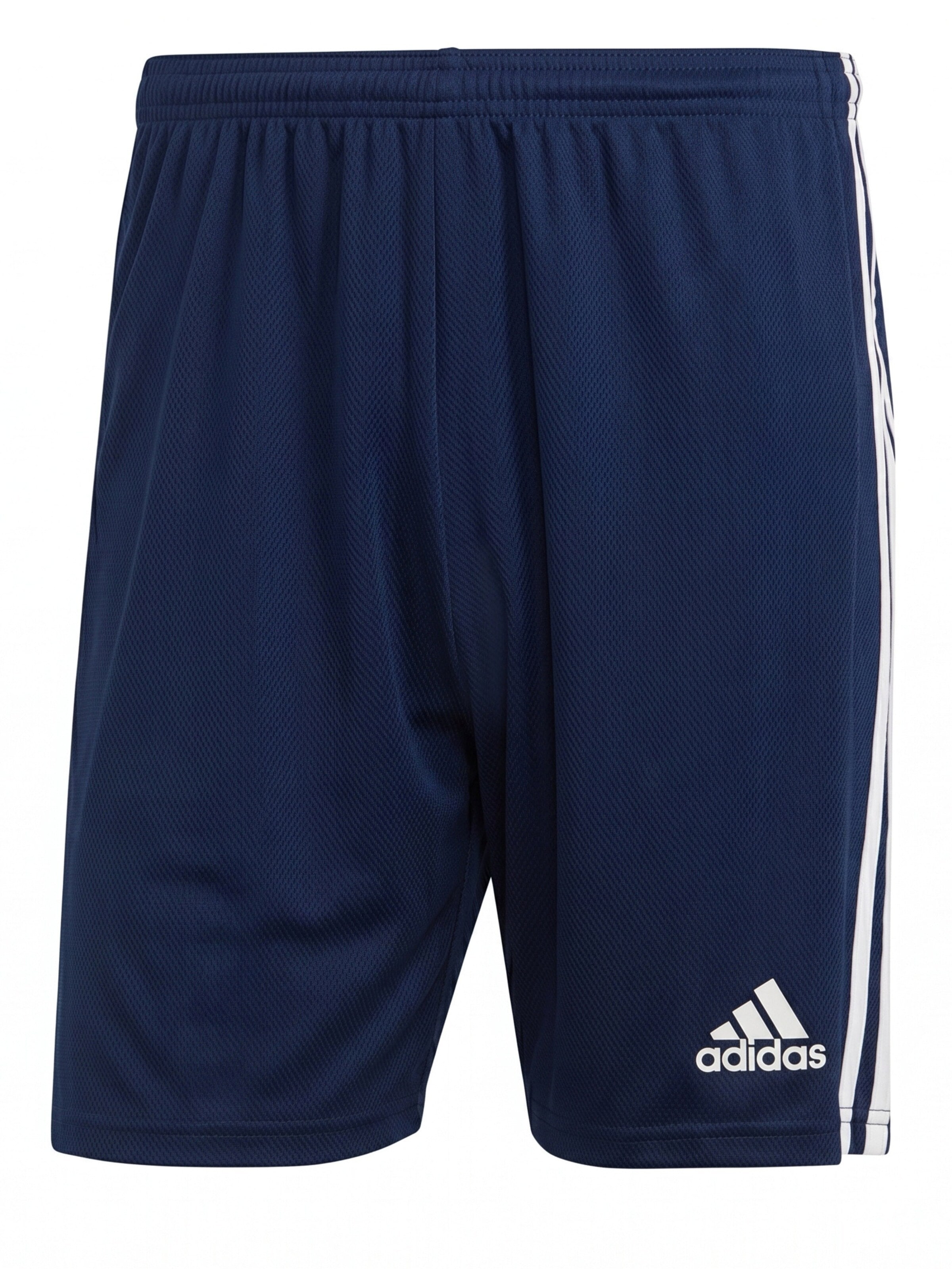ADIDAS Regular Workout Pants 'Trainingshose Squadra 21 Short' in Blue: front