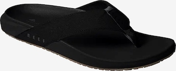 Claquettes / Tongs 'The Raglan' REEF en noir : devant