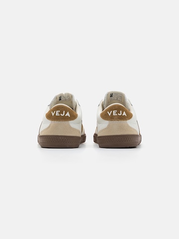 Veja Låg sneaker 'Volley' i vit